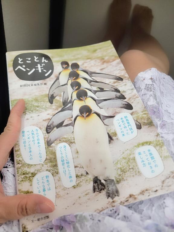 目の保養